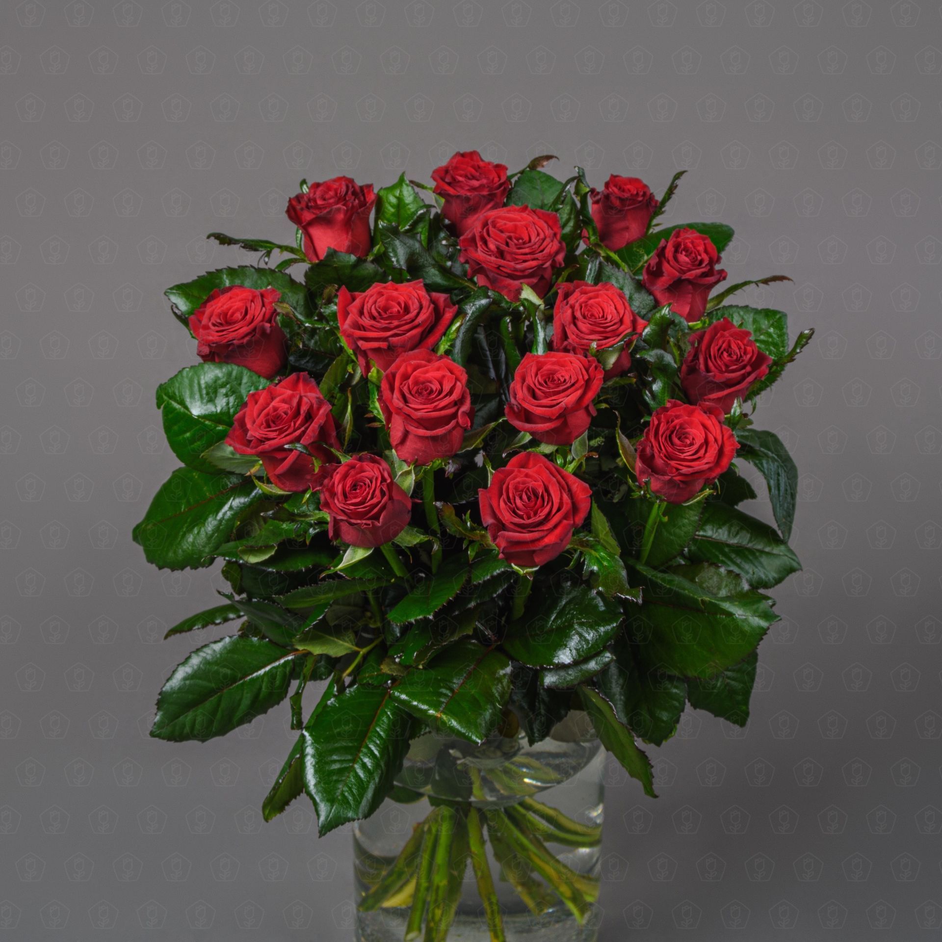 Роза Россия 50 см. (Престиж)