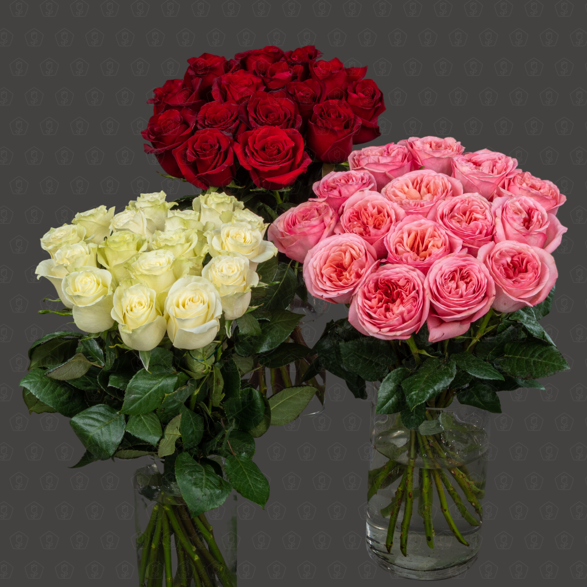 Розы Эквадор