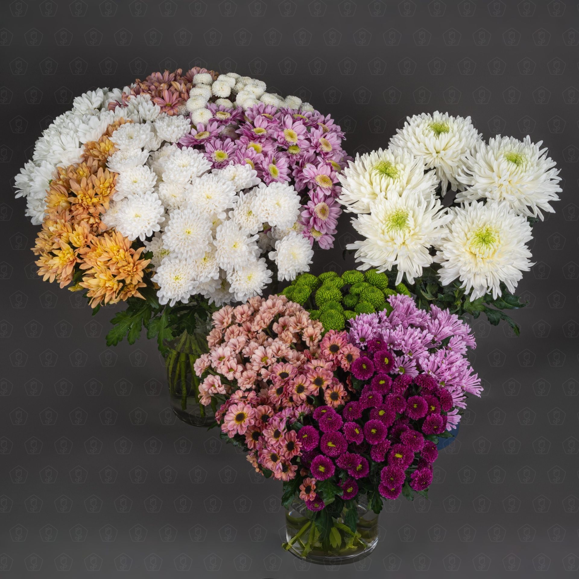 2. Хризантемы