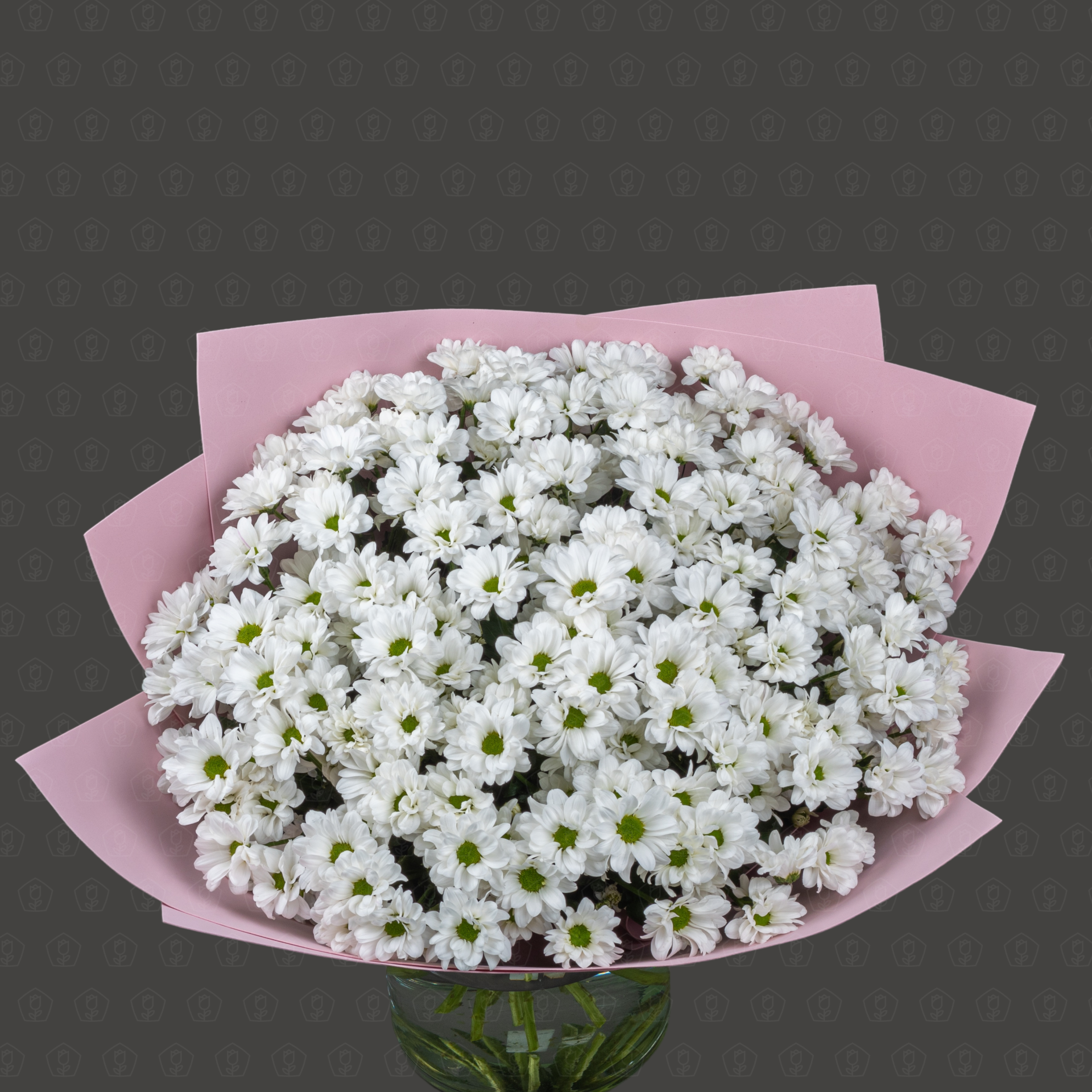 Акция! 25 Кустовых хризантем Чик с оформлением Премиум