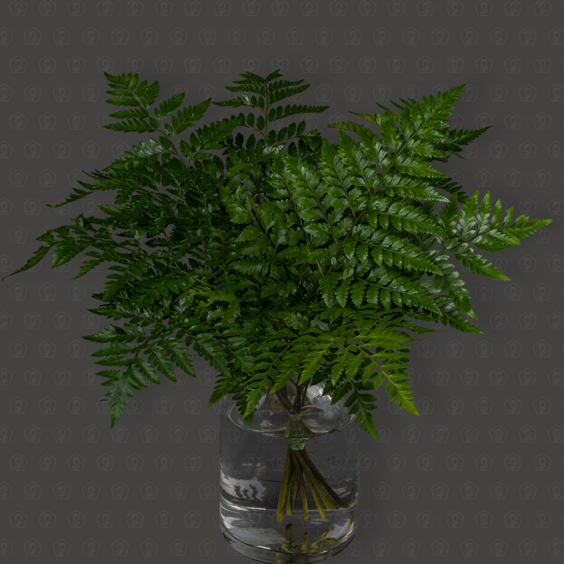 Зелень Папоротник (банч)