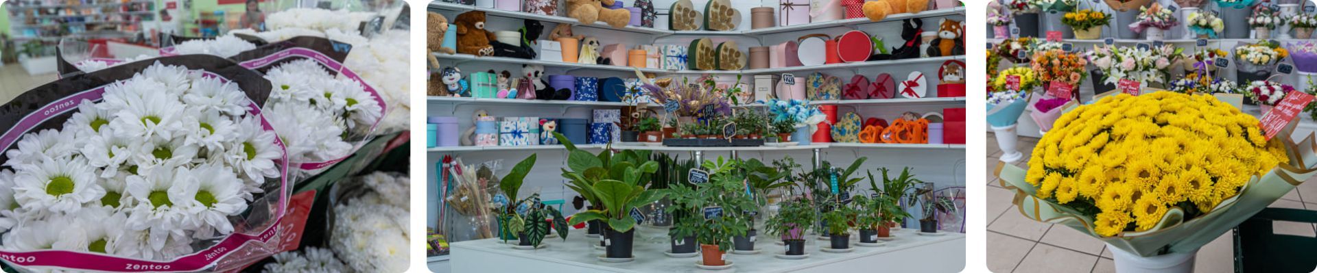 ГЛАВЦВЕТТОРГ