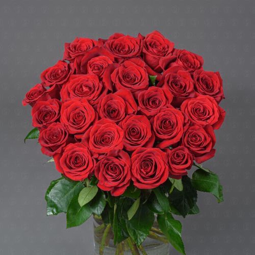 Акция! 25 роз ЭКВАДОР 50 см. (Фридом)