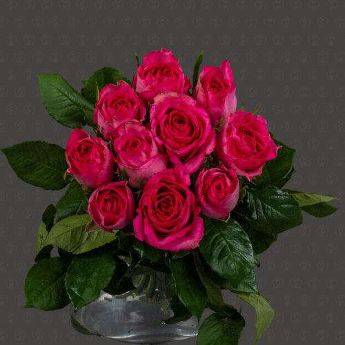 Роза Кения 40 см. (Розовая)